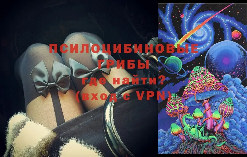 MEGA зеркало  это клад  Псилоцибиновые грибы Psilocybe  Вихоревка 